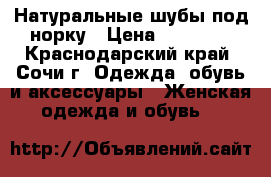 Натуральные шубы под норку › Цена ­ 15 000 - Краснодарский край, Сочи г. Одежда, обувь и аксессуары » Женская одежда и обувь   